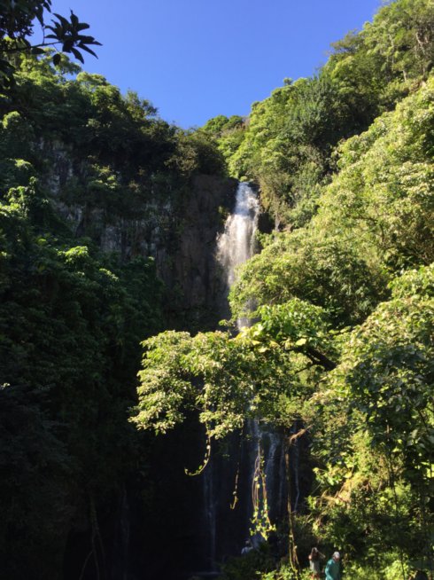 The Best Maui Road&nbsp;Trip