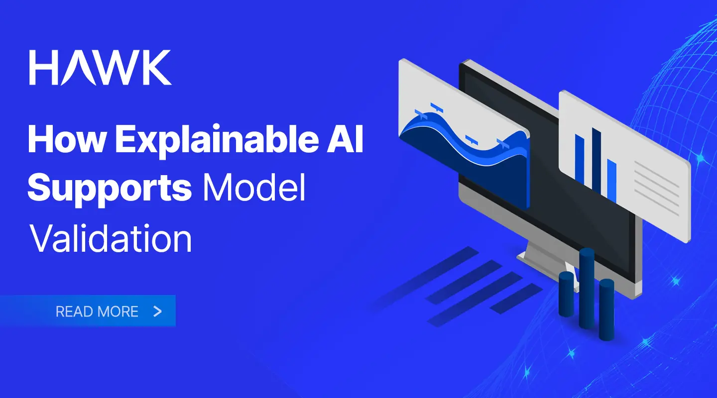 How Explainable AI Supports Model Validation